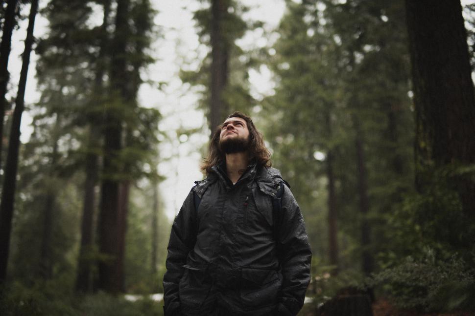 Free Image of Person standing amid vibrant green foliage 