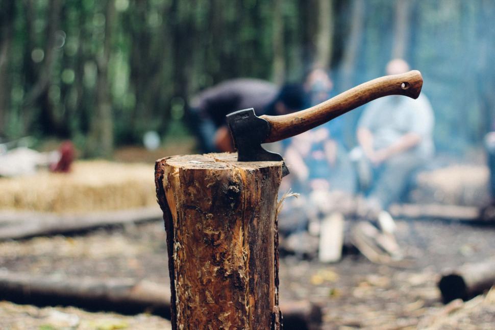 Free Image of Axe lodged in a log at a forest campsite 