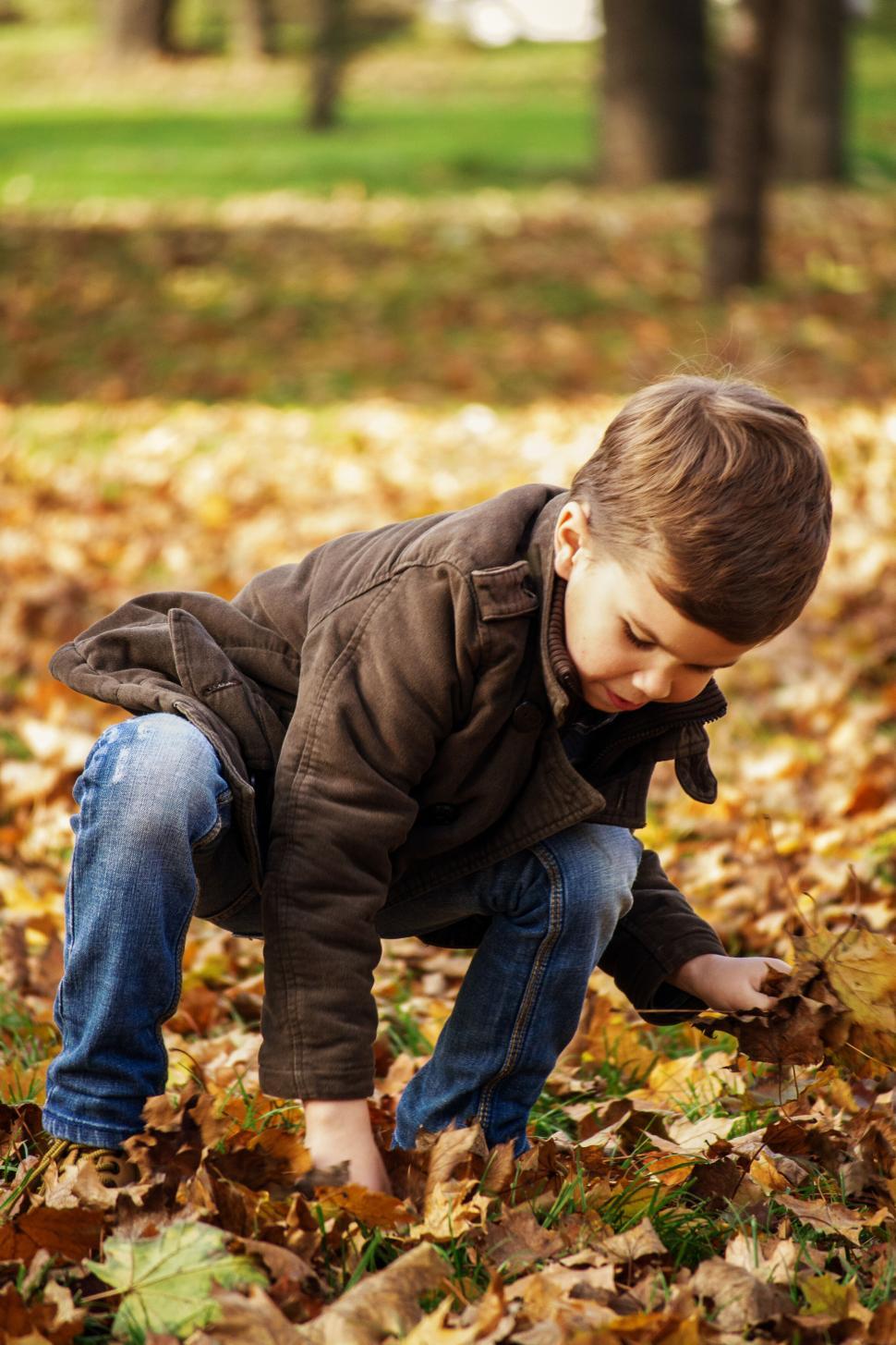 Free Image of Child playing with autumn leaves in park 