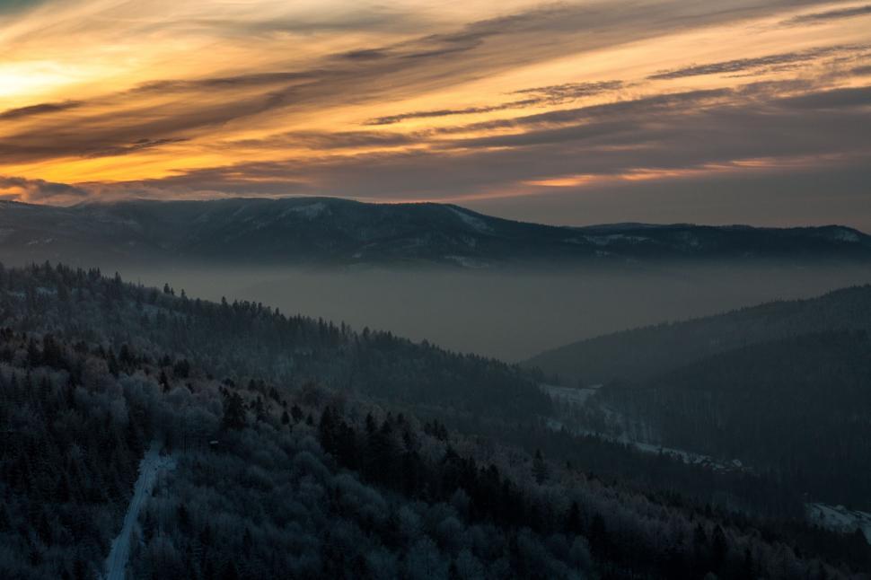 Free Image of Aerial winter sunrise over a foggy forest 