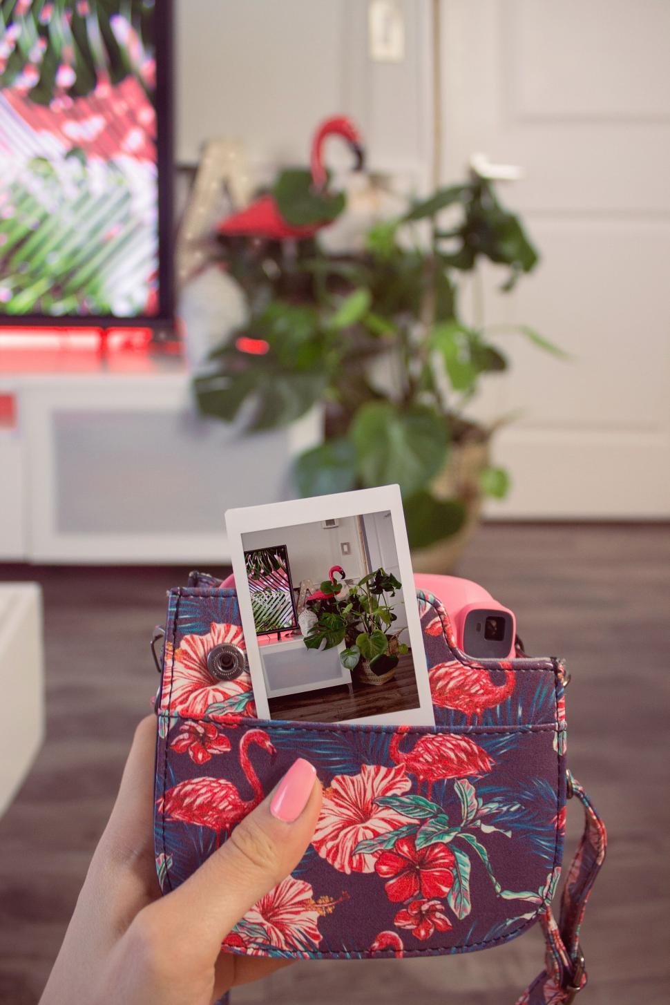 Free Image of Polaroid photo in a tropical purse 