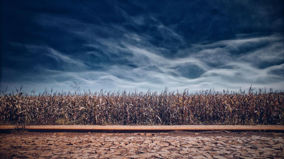 Free Image of Dramatic sky over arid landscape and dry ground 