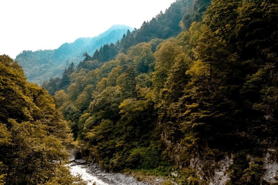 Free Image of Mountain range with autumn trees and river 