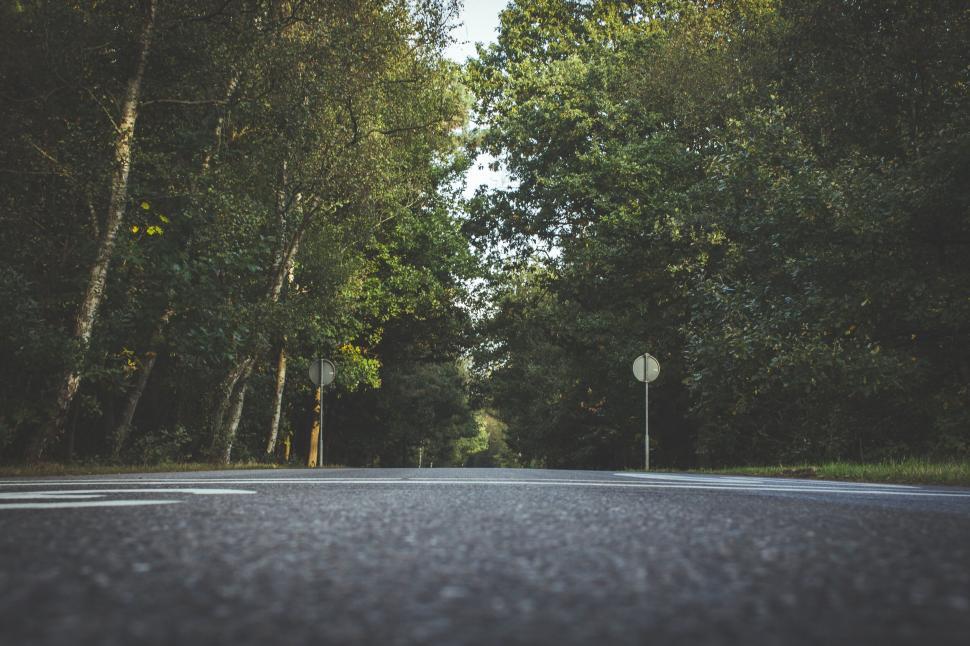 Free Stock Photo of Ground level view of a road amidst greenery ...