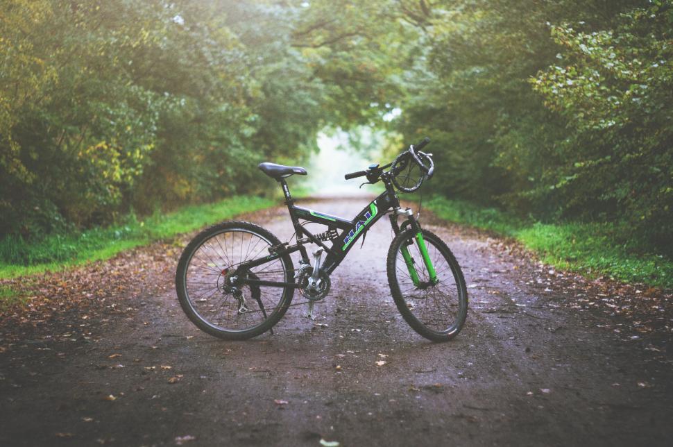 Free Image of Bicycle resting on a serene forest pathway 