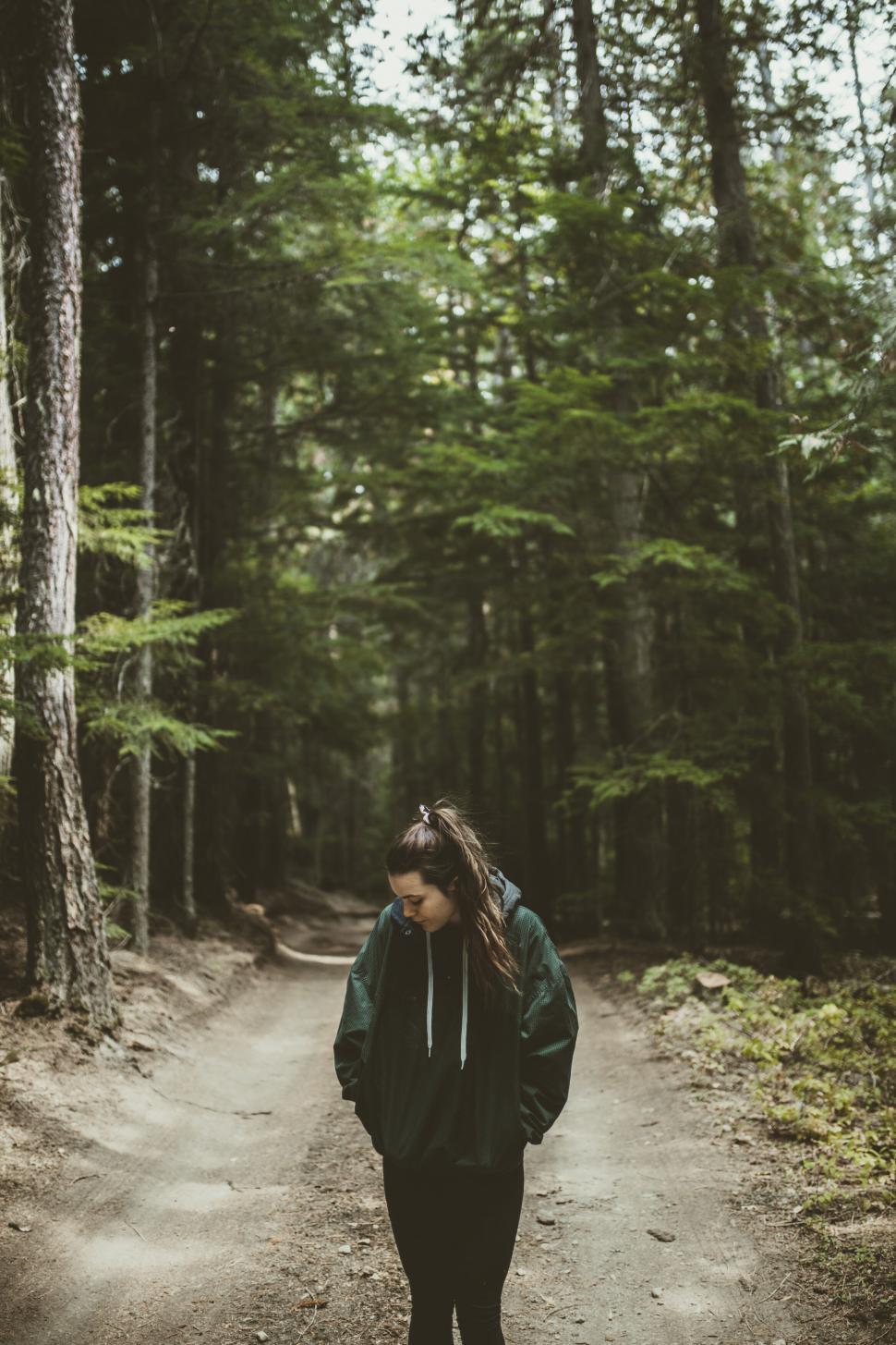 Free Stock Photo of Forest trail adventure with person wearing a green ...