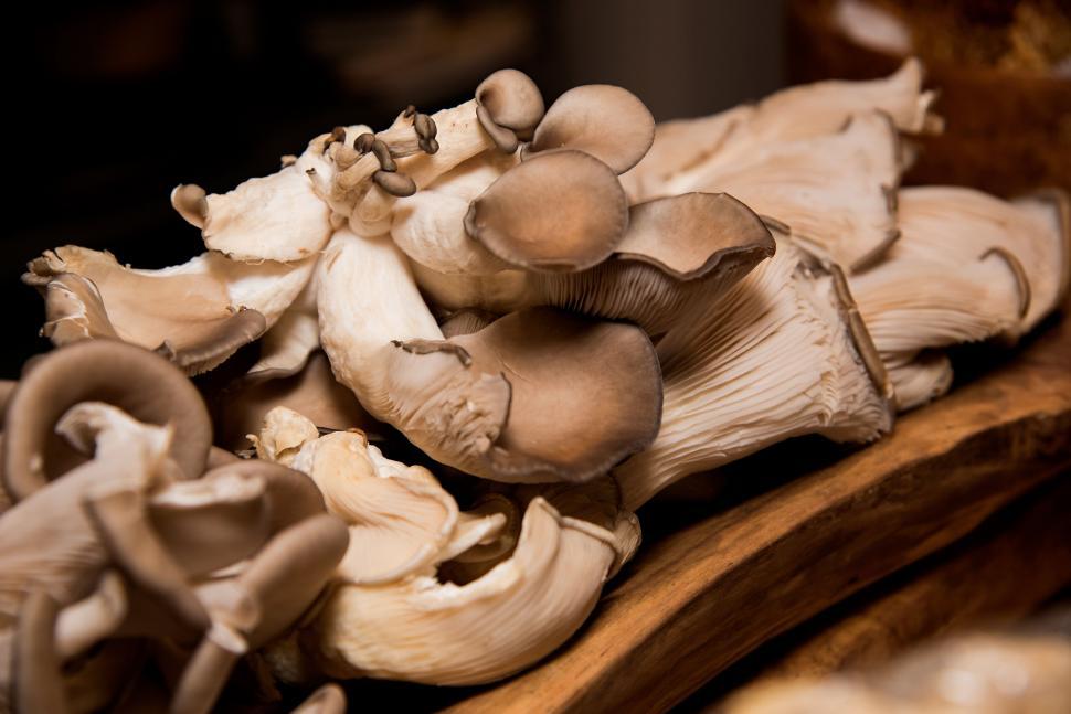 Organic Mushrooms