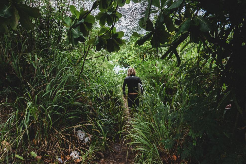 Free Image of Woman walking through a lush green trail 