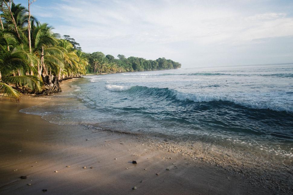 Free Stock Photo of Serene tropical beach with lush palm trees ...