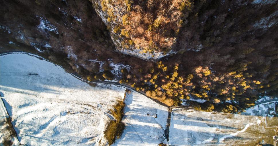 Free Image of Drone view of canyon and trees 