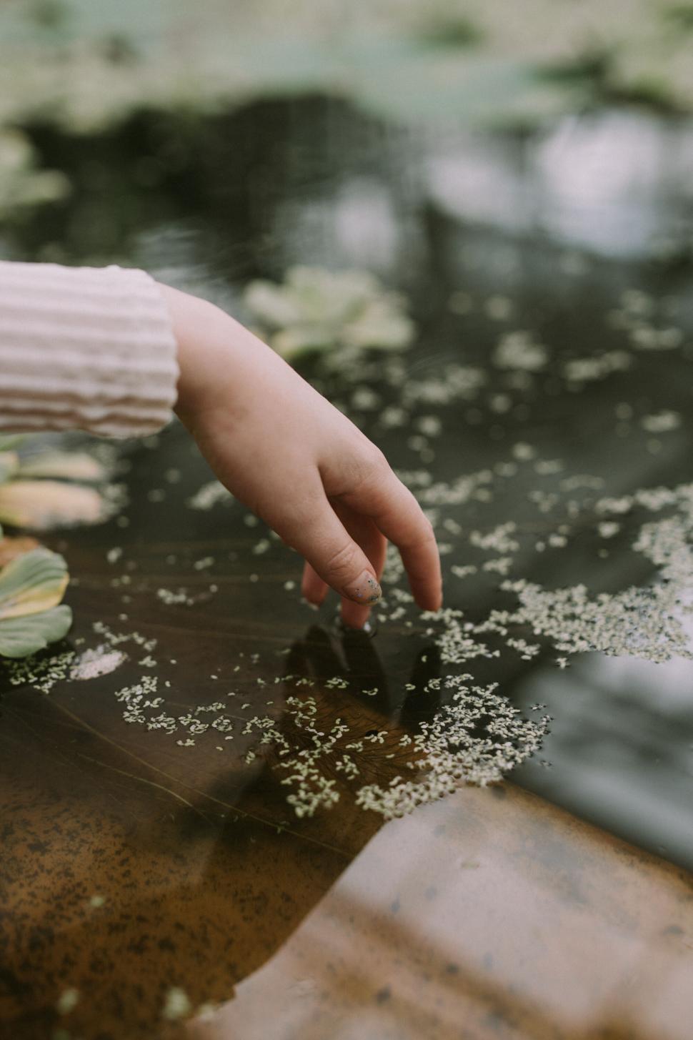 Free Image of Hand touching water amidst nature 