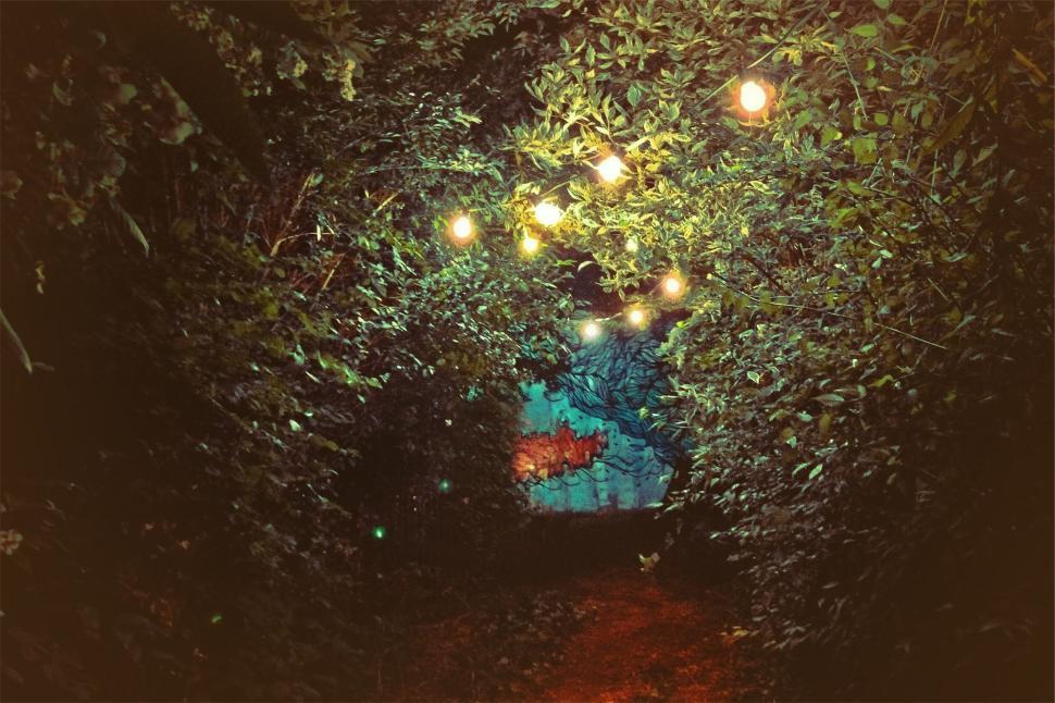 Free Image of Enchanted pathway with hanging lights and graffiti 