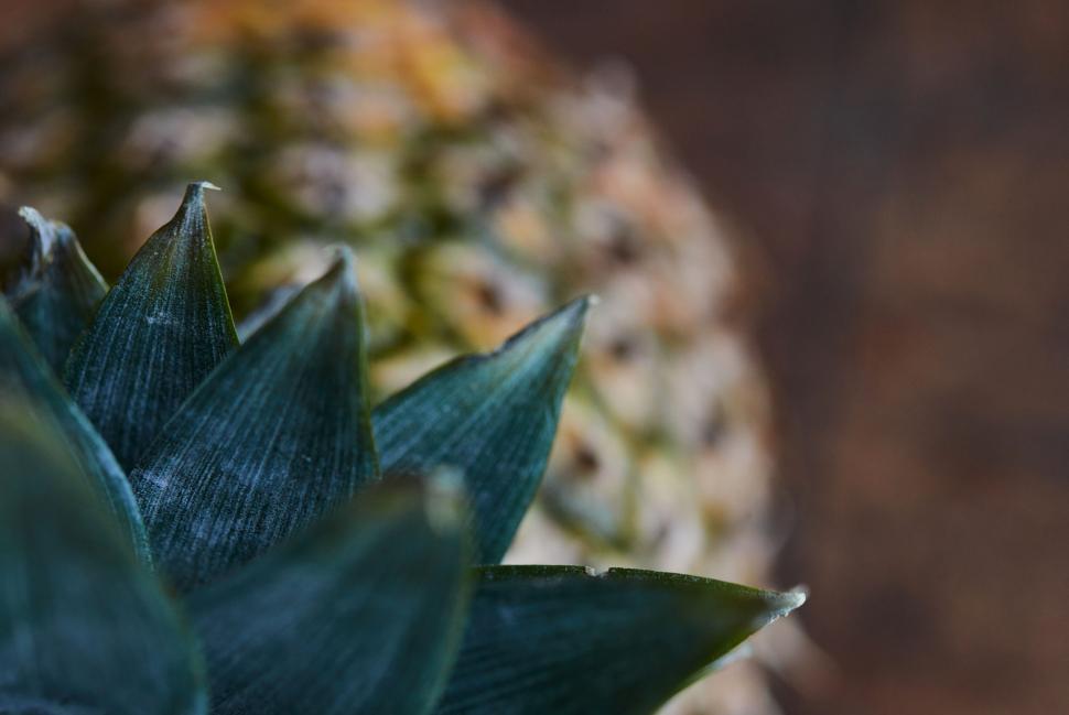 Free Image of Abstract view of pineapple texture 