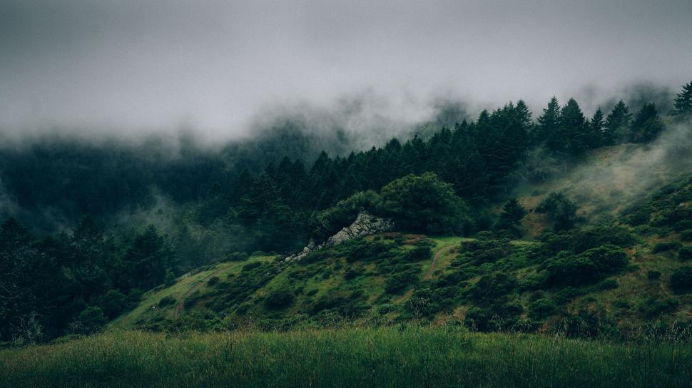 Free Image of Moody fog over lush green hills 