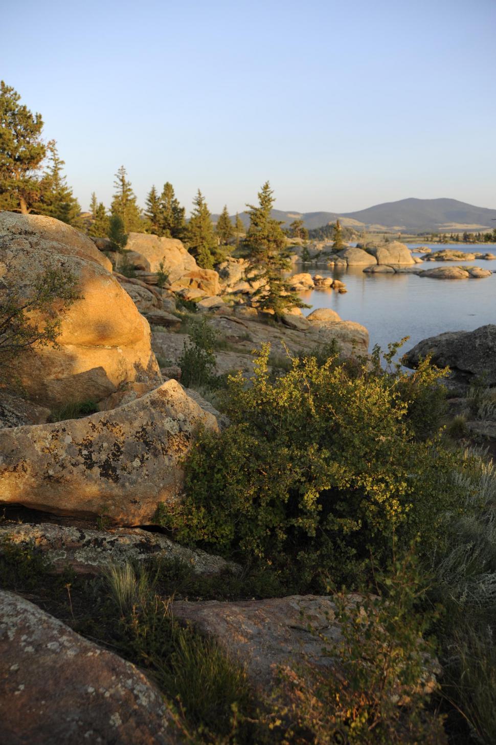 Free Stock Photo of View of shoreline with trees and sky | Download ...