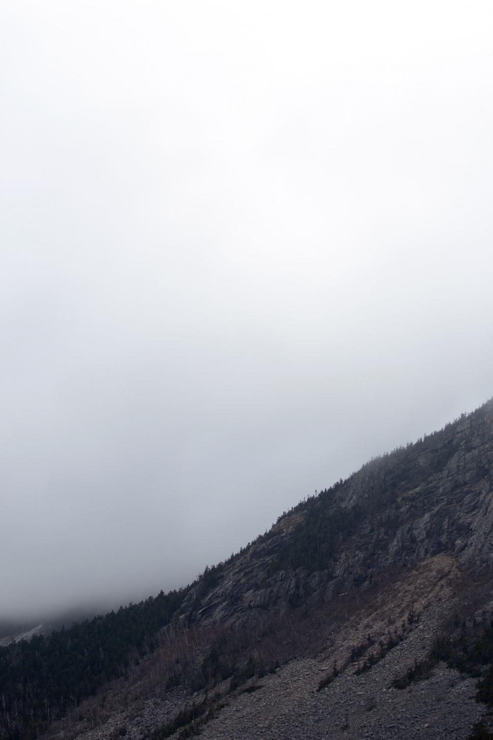 Free Image of Misty Mountain Slope with Foreground Trees 