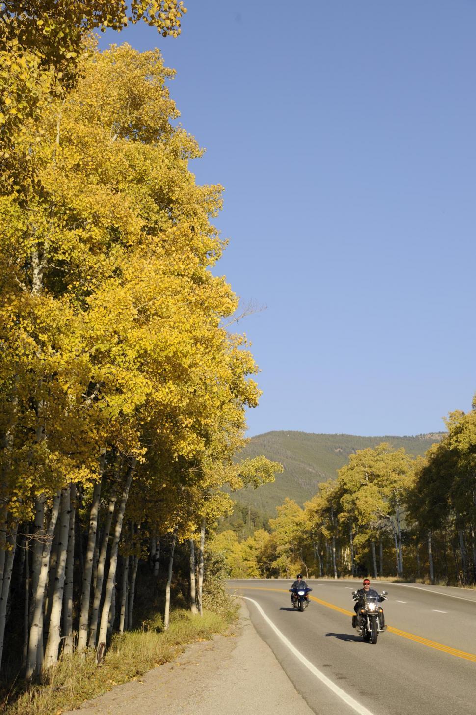 Free Image of Bikers on the road  