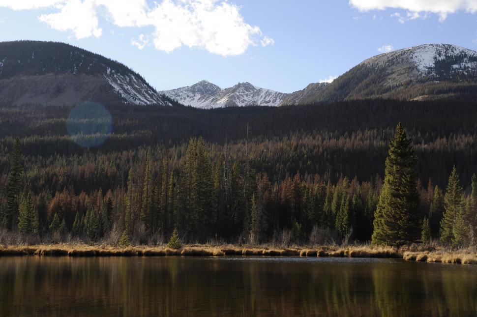 Free Image of River, Trees and Mountains  
