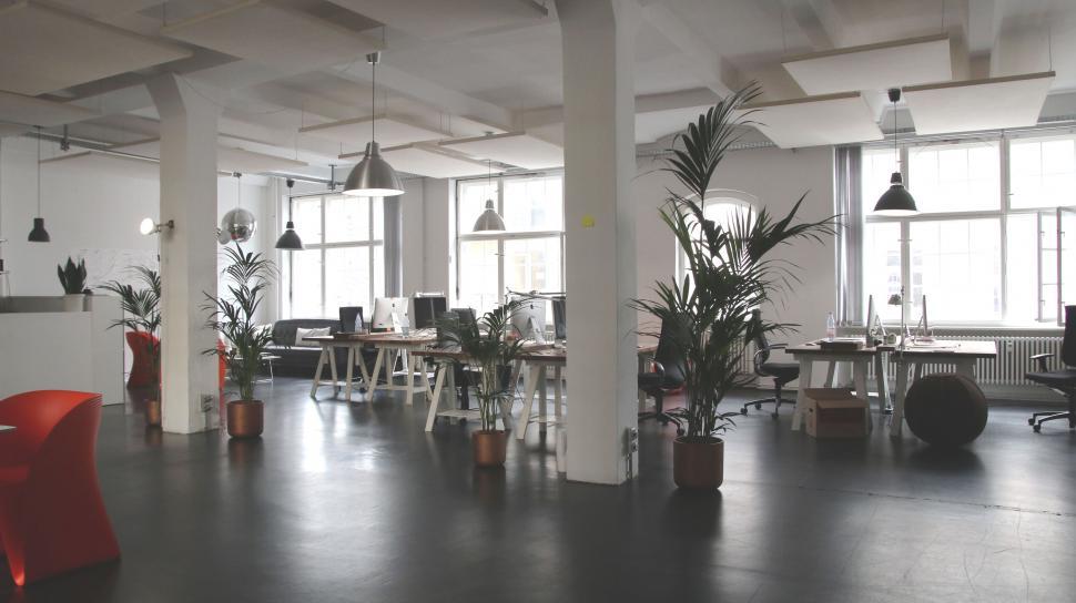 Free Image of Modern workspace with natural elements 