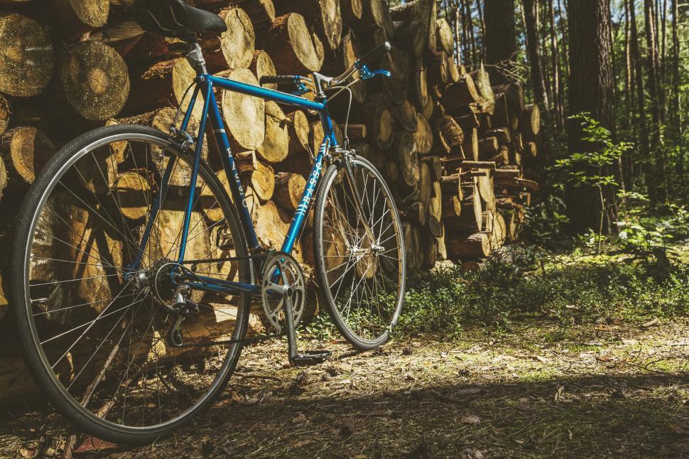 Free Image of Vintage bicycle leaning against logs 