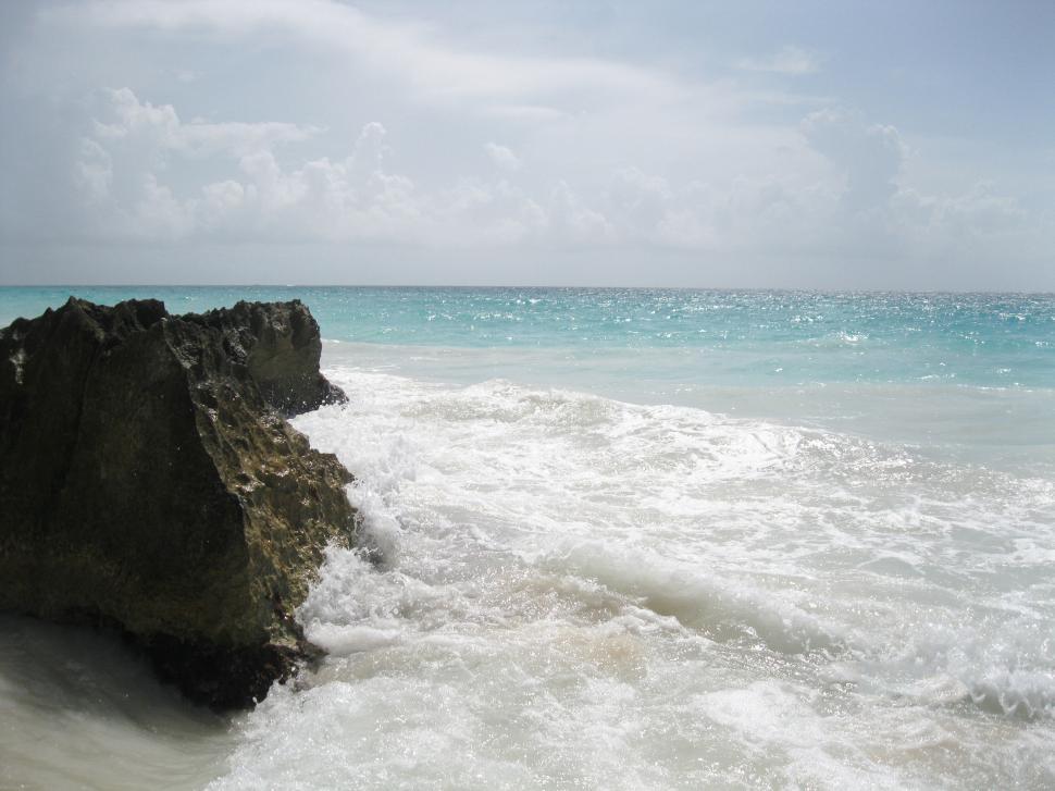 Free Image of Waves crashing on a tropical beach 