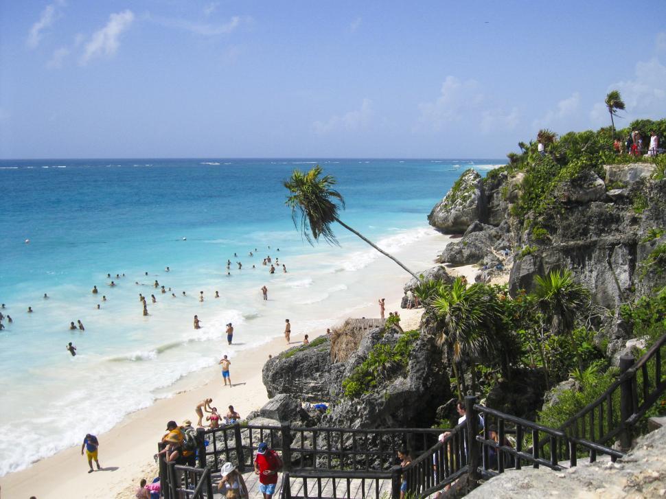 Free Image of Tropical beach with cliff and palm tree 