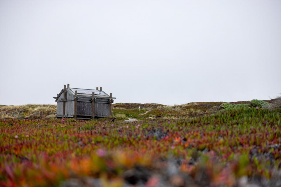 Free Stock Photo of Secluded rustic hut amid colorful foliage ...