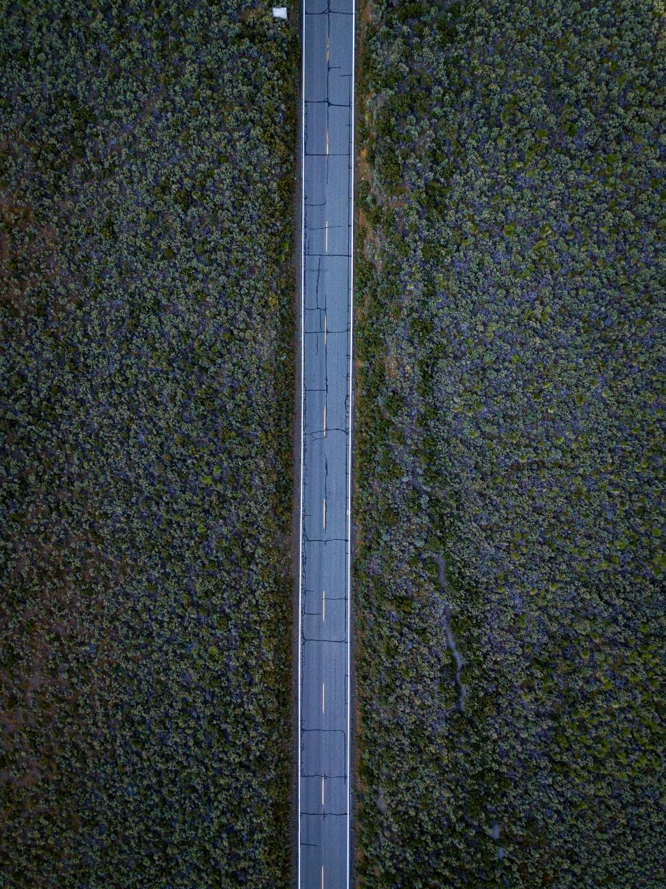Free Image of Drone view of a solitary road amidst greenery 