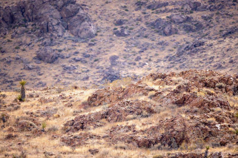 Free Image of Desolate mountain landscape with rocks 