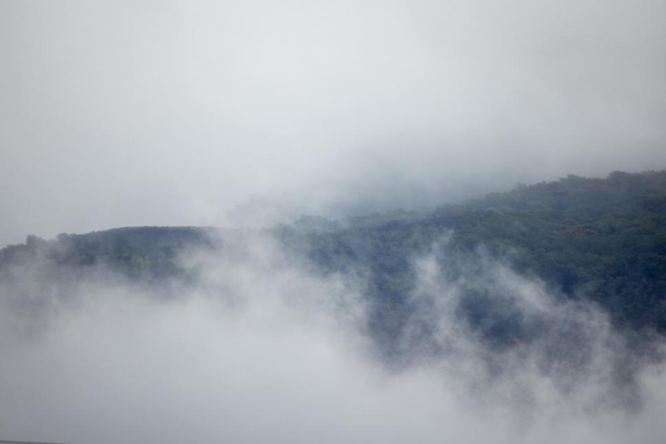 Free Image of Misty mountain forest in a tranquil morning 