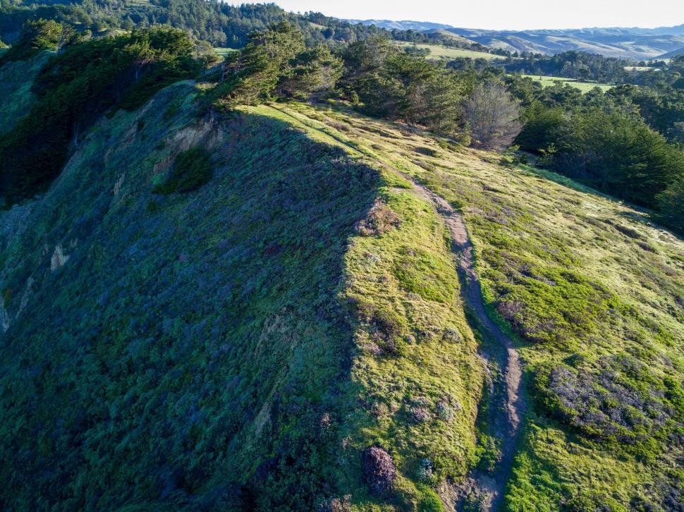 Free Image of Hiking trail on a green hillside 