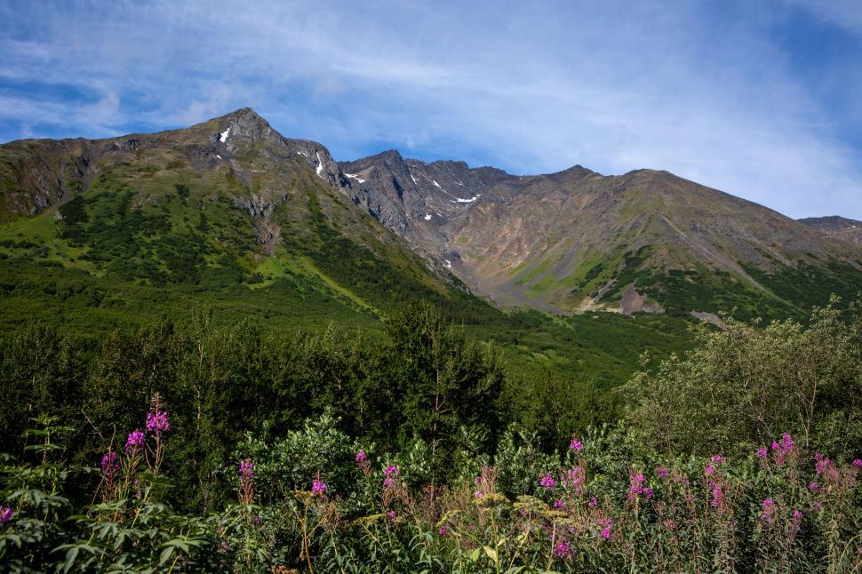 Free Image of Lush green valley with mountains 