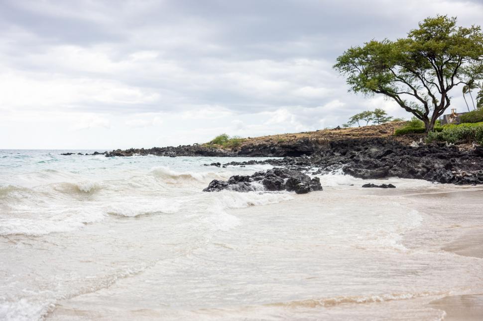 Free Image of Serene beach scene with foamy waves and trees 