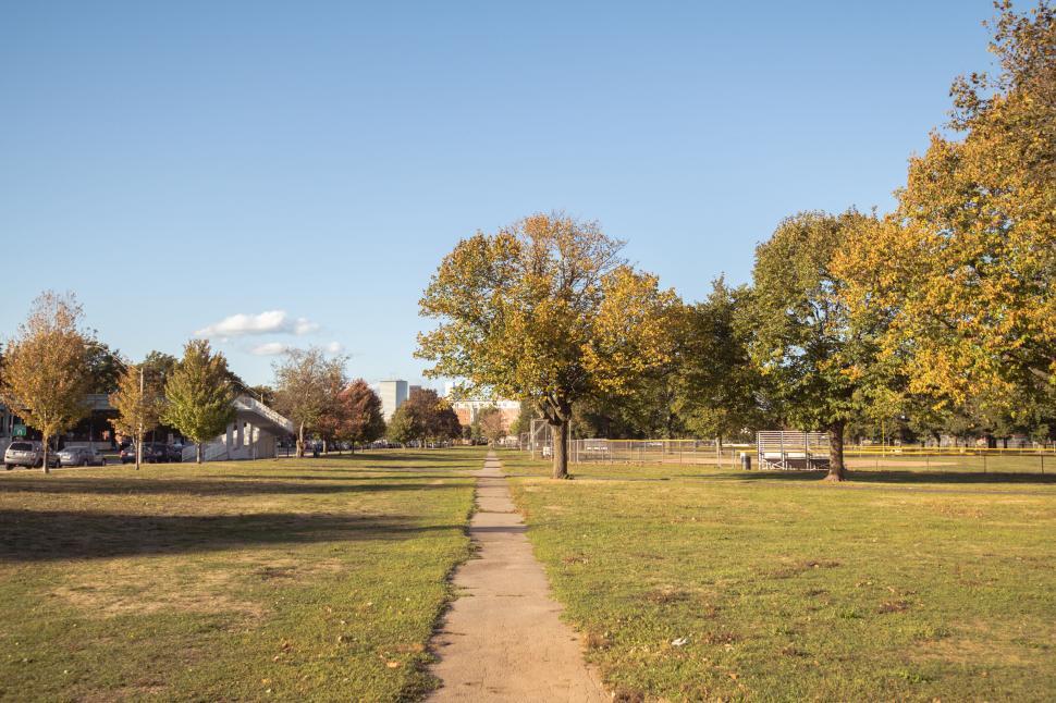 Free Image of Sunny autumn day in the park with footpath 