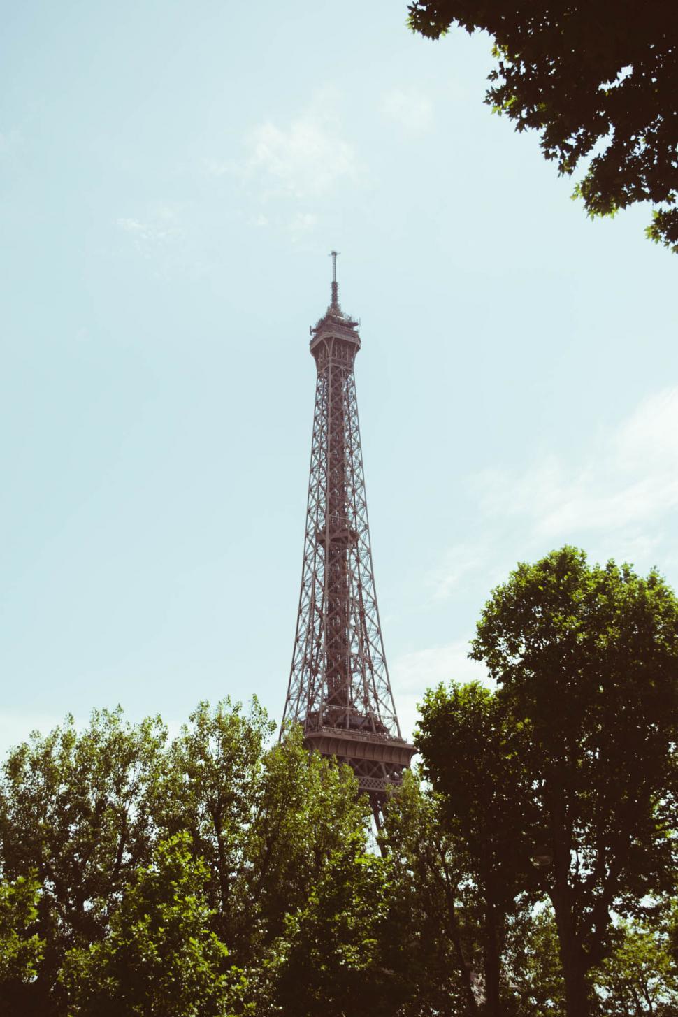 Free Stock Photo of Iconic Eiffel Tower surrounded by trees | Download ...