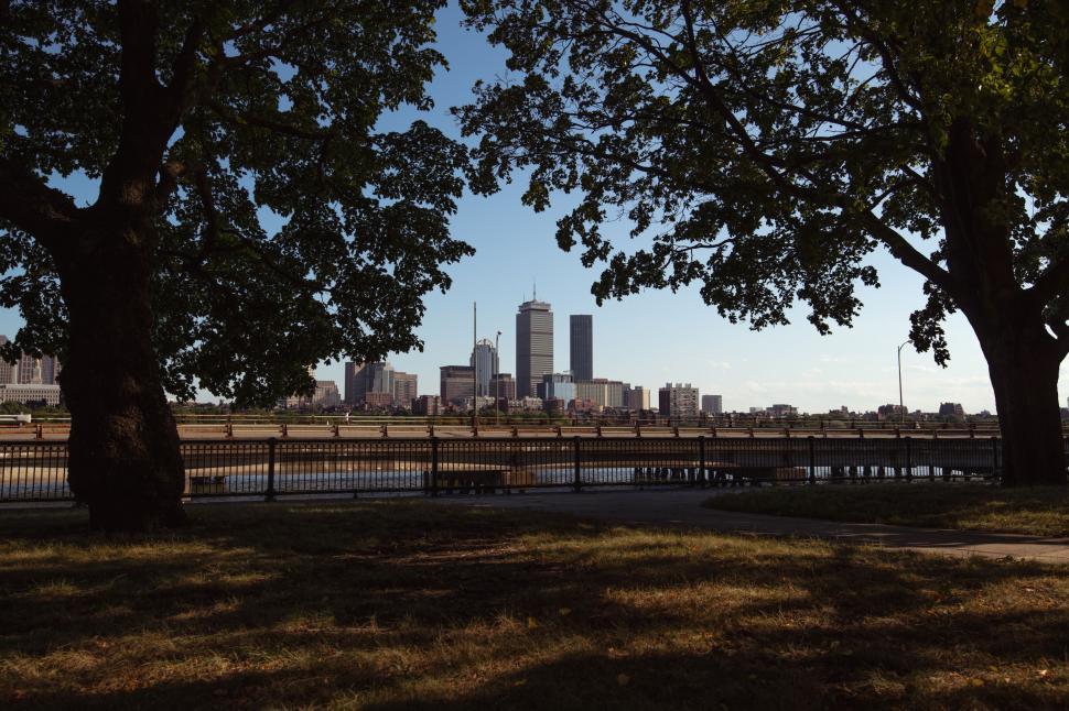 Free Image of Sunny cityscape viewed from shaded park 