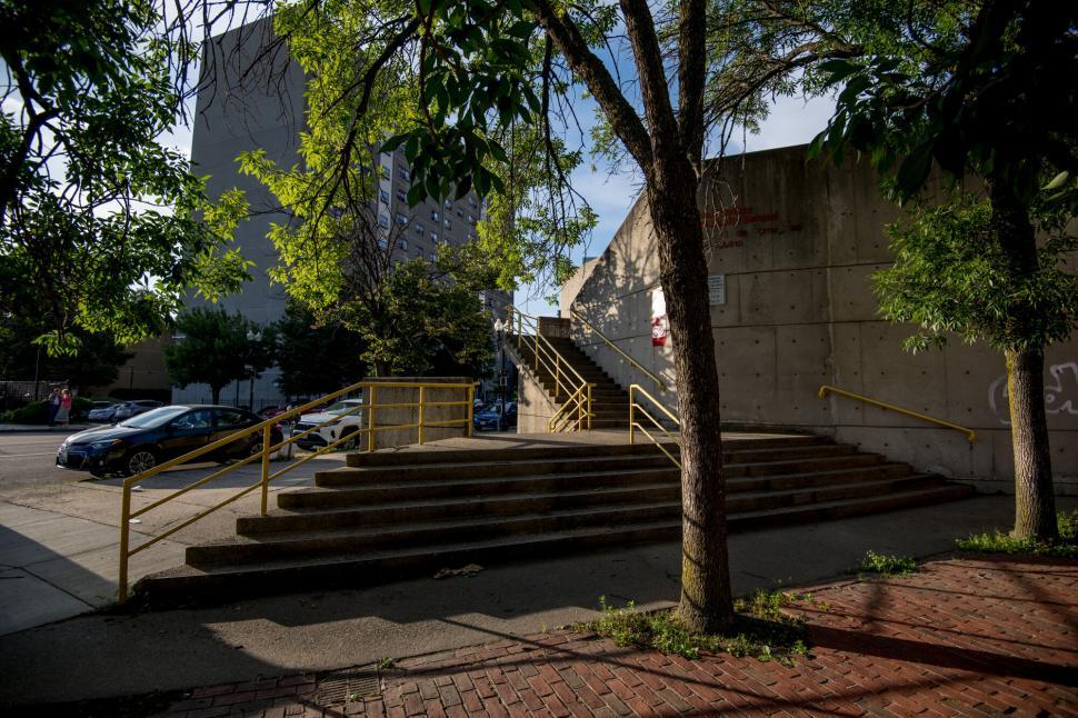 Free Image of Urban scene with staircase and greenery 