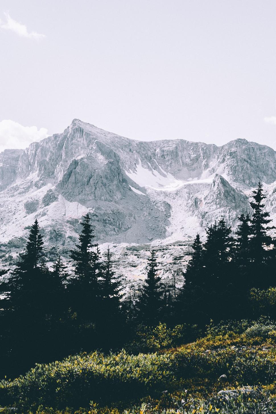Free Image of Snowy mountain peak towering over forest 