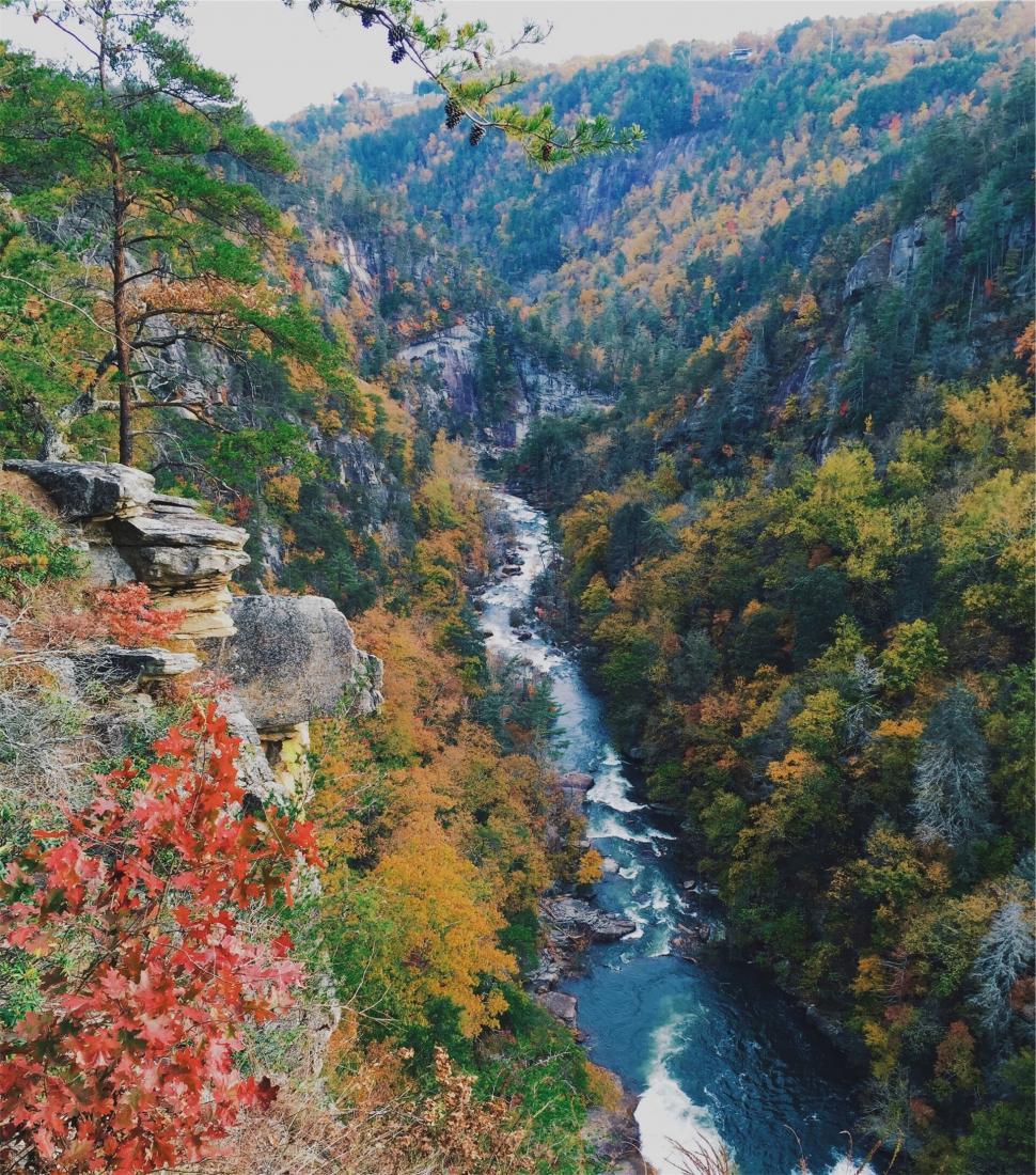 Free Image of Aerial view of a winding river in autumn 