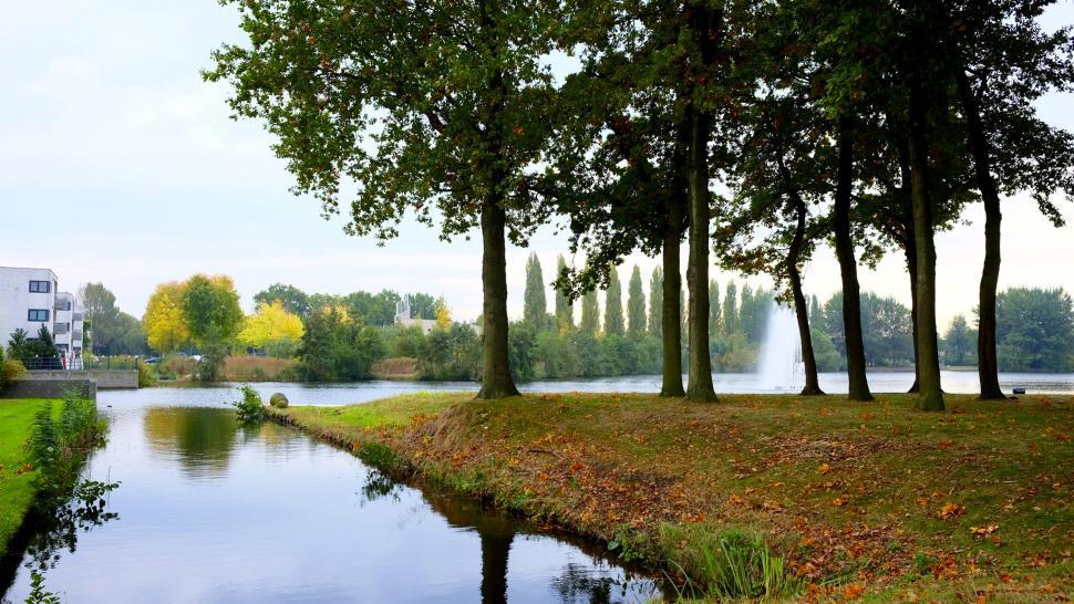 Free Image of Scenic view of trees by calm lake 