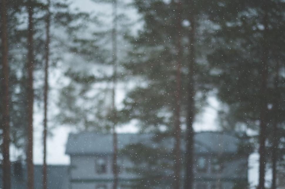 Free Image of Blurry winter scenery with snowfall 
