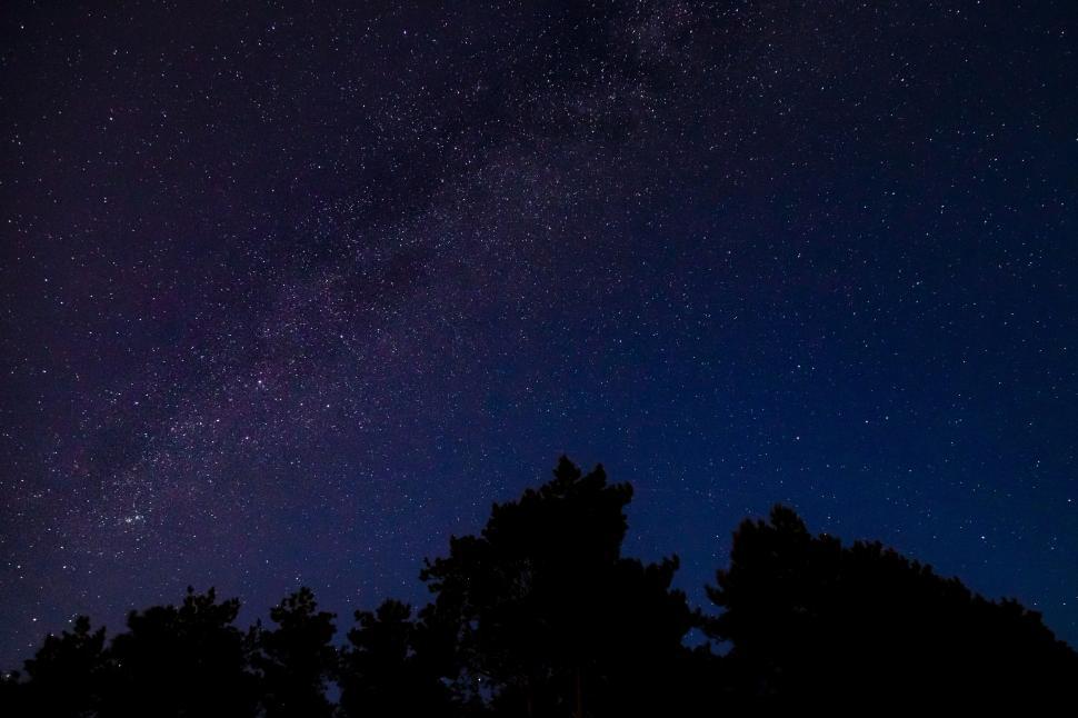 Free Image of Starry night sky over silhouette of trees 