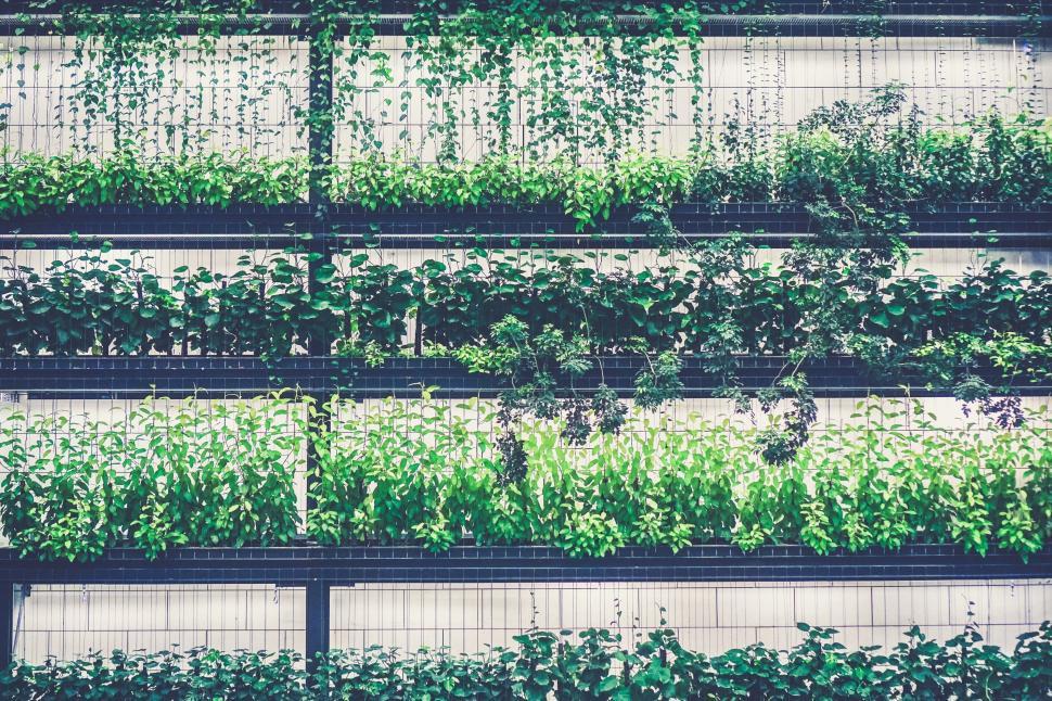 Free Image of Lush nature adorning a modern building facade 