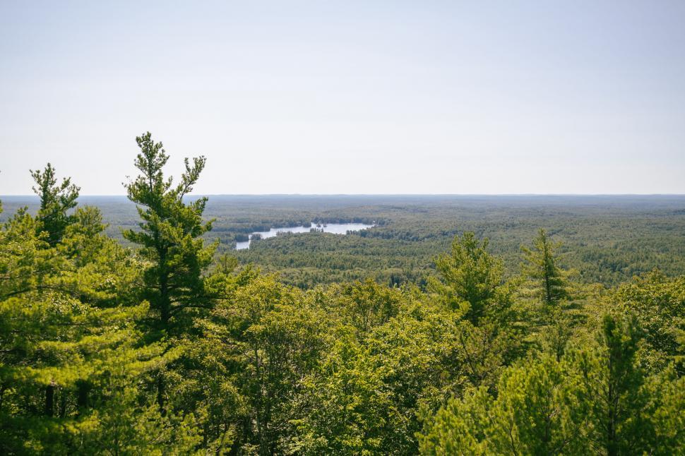 Free Image of Aerial view of a green landscape with water 
