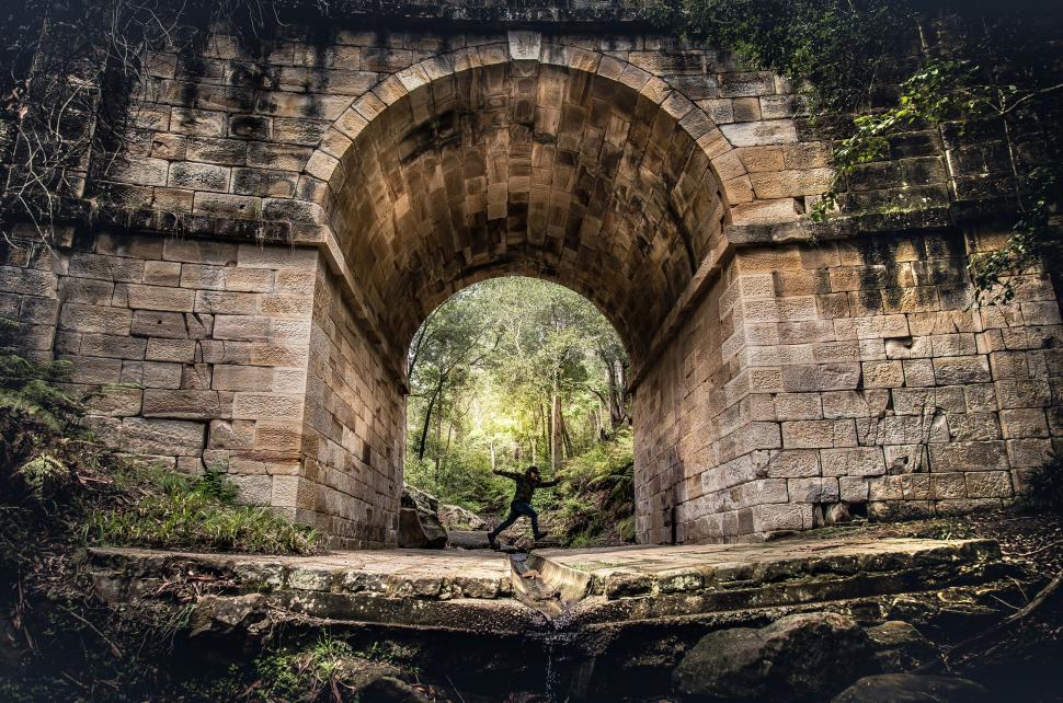 Free Image of Arch bridge entrancing the forest realm 