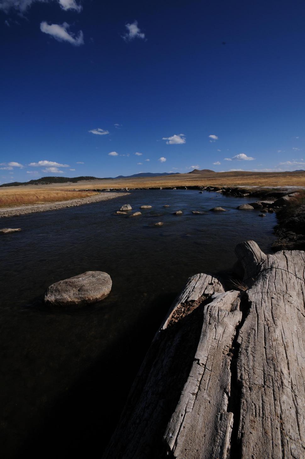 Free Image of Driftwood and river 