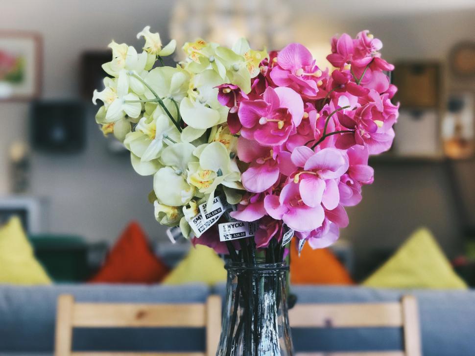 Free Image of Vibrant orchids bouquet on wooden table 