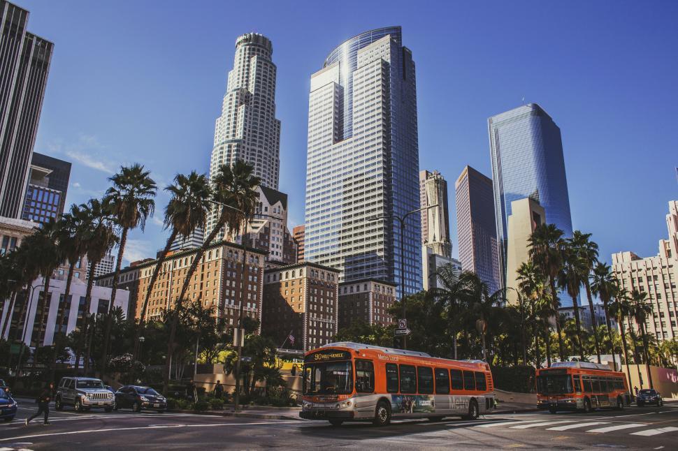 Free Image of Cityscape with palm trees and skyscrapers 