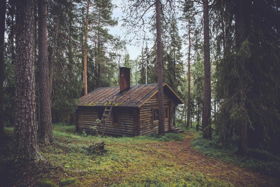 Free Image of Secluded log cabin in dense forest 