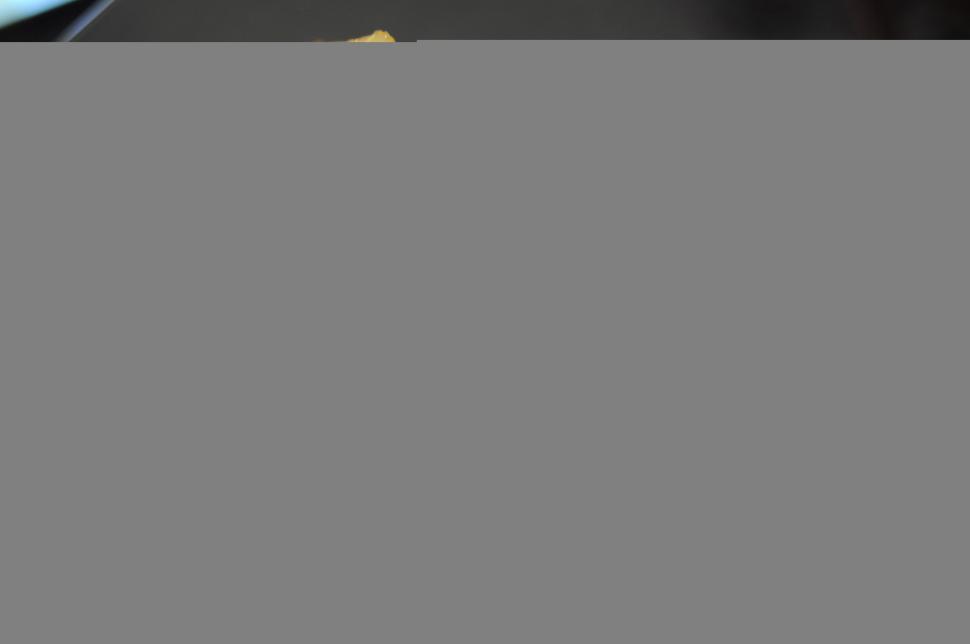 Free Image of Lemon drizzle cake on wooden board 